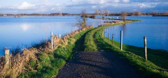 £3.8M award for Dutch river research - WWT